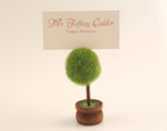 tree place card